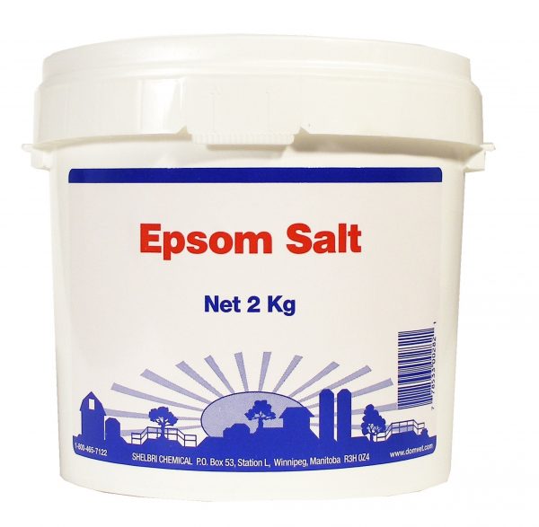 sel epson 2kg