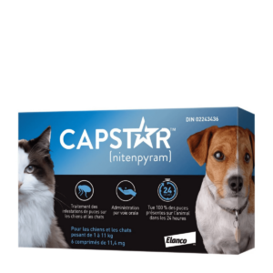 Capstar Traitement antipuces oral pour chat et chien, 1 kg a 11 kg - paquet de 6