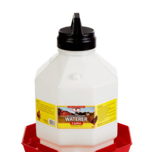 reservoir eau pour poules