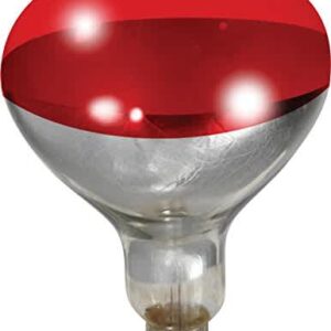 globe chauffante 250wt,rouge 6000h