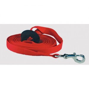 longe nylon 1''x25' , rouge