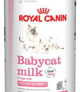 Royal Canin Lait Maternisé Pour Chaton - 300g