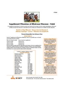 EquiMin Supplément Vitamines et Minéraux Chevaux Cubé - 25 kg