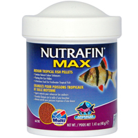 nutrafin poisson tropicaux granulé 40g