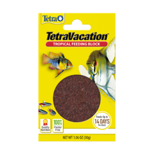 tetravacation nourrisseur tropical a libération lente 14 jours