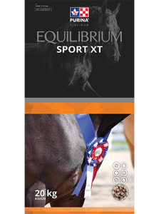 Equilibrium sport xt