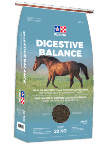 Purina Digestive Balance 20kg