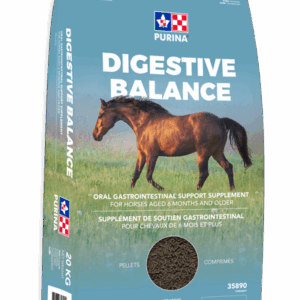 Purina Digestive Balance 20kg