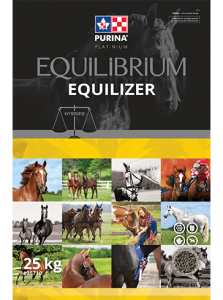 equilibrium equilizer