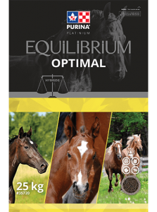 équilibrium optimal, nourriture cheval