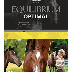 équilibrium optimal, nourriture cheval