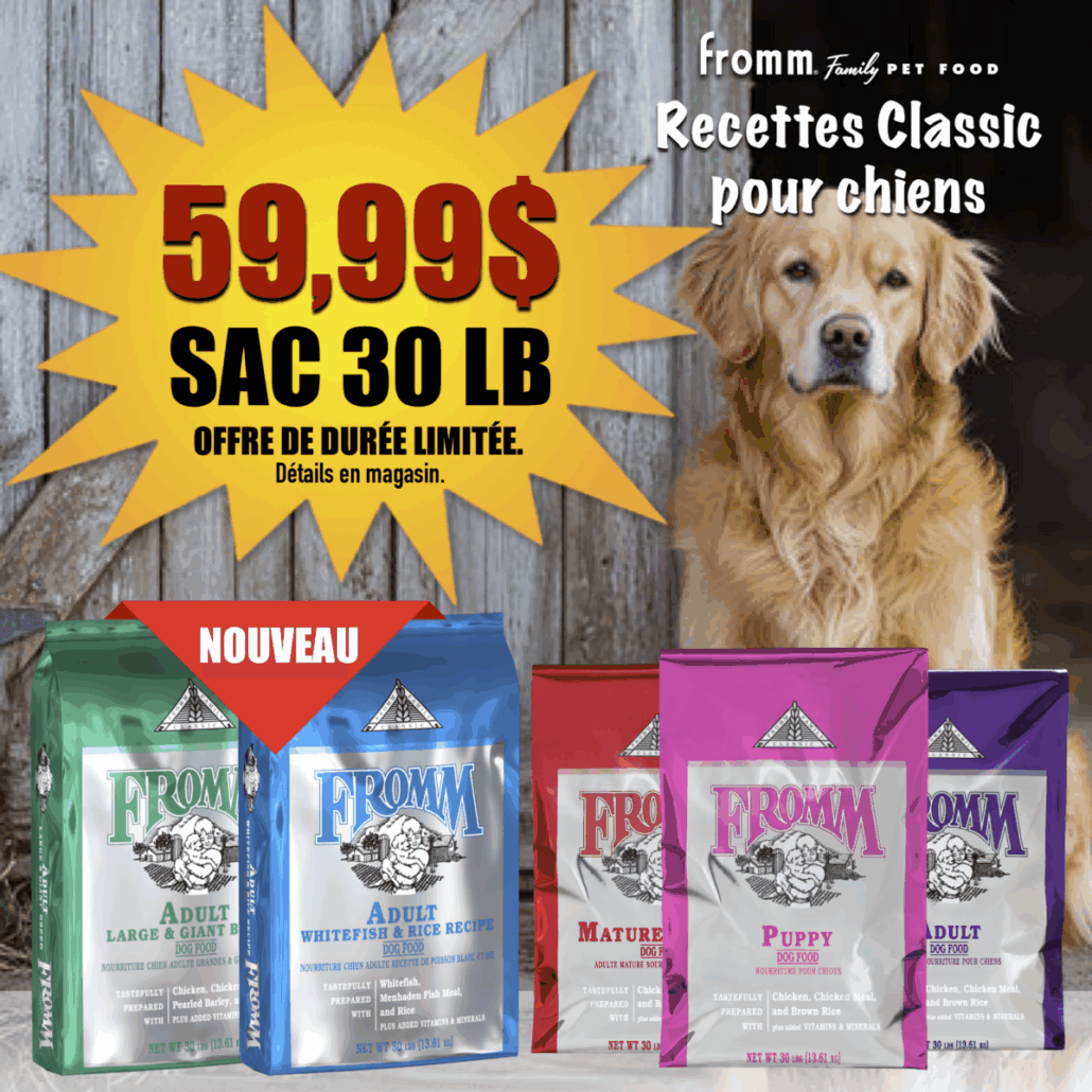 spécial mois novembre