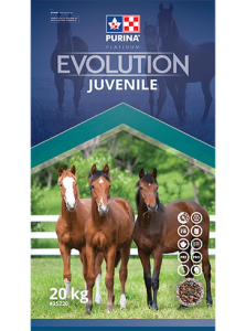 évolution juvénile 20kg
