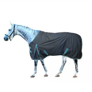 couverture, noir, hiver, froid, cheval, horse