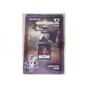 carte sd/card 32go/gb