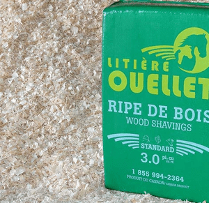 Ripe Moyenne/Large - 3.0 picube