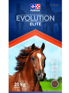 evolution elite