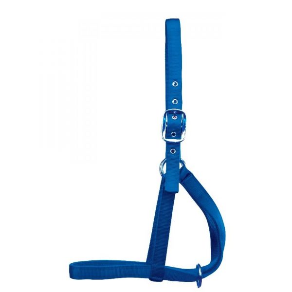 licou vache bleu Licol laitier en nylon de qualité 1 "avec quincaillerie plaquée laiton