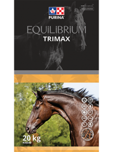 equilibrium trimax
