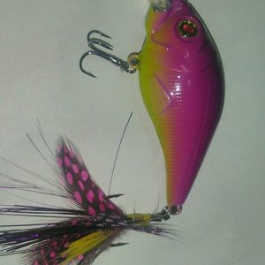 rapala