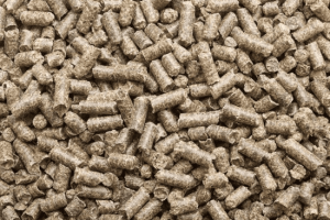 pulpe de betterave additionn.e de mélasse 25kg