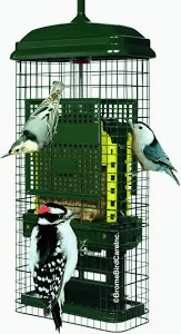 squirrel buster, pour support suet