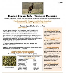 Moulée Cheval 14% ÉconoMix Mélassée - 25kg
