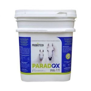 paradox 6kg