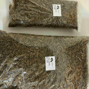 vers de farine séchés extra-gros 5 lbs env.