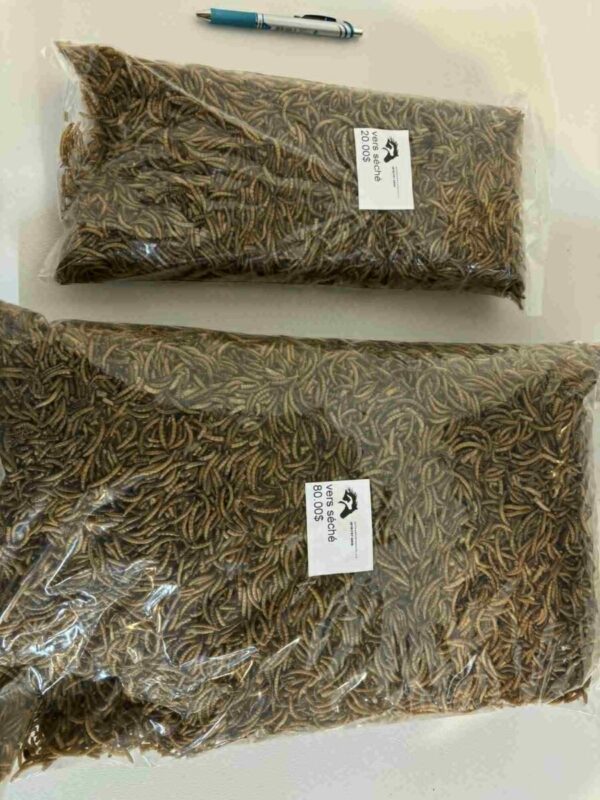 vers de farine séchés extra-gros 5 lbs env.
