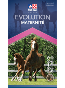 évolution maternité 20kg